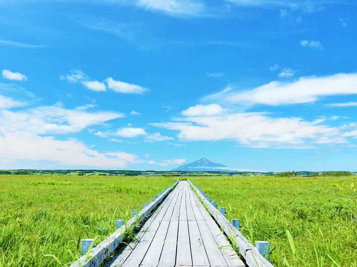 佐呂別原生花園