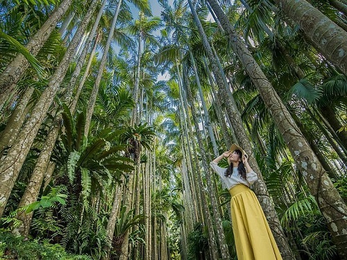 東南植物樂園