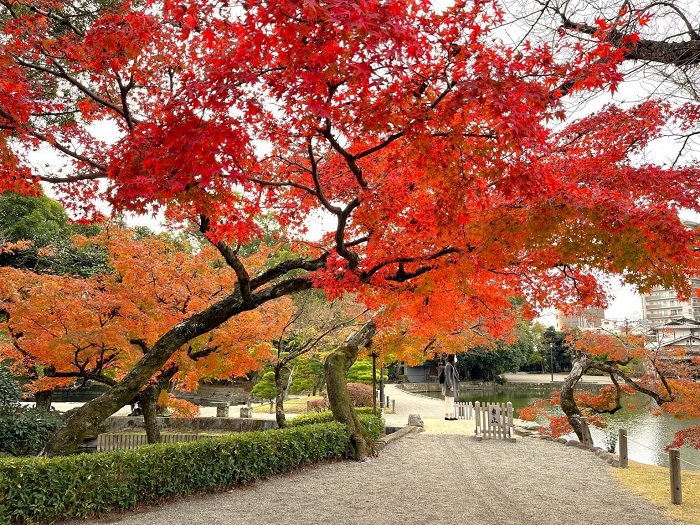 水前寺成趣園