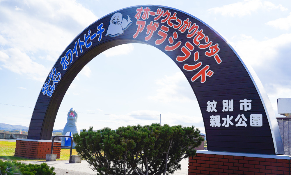 與海豹同樂
