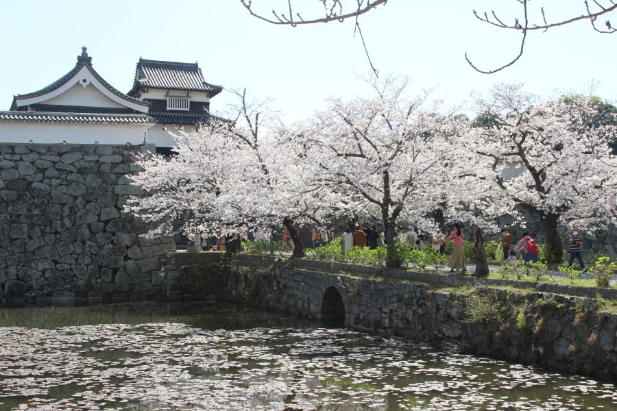 舞鶴公園