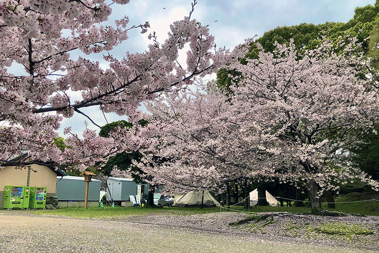 舞鶴公園