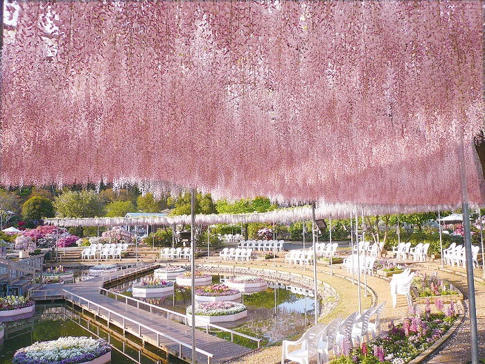 足利花卉公園