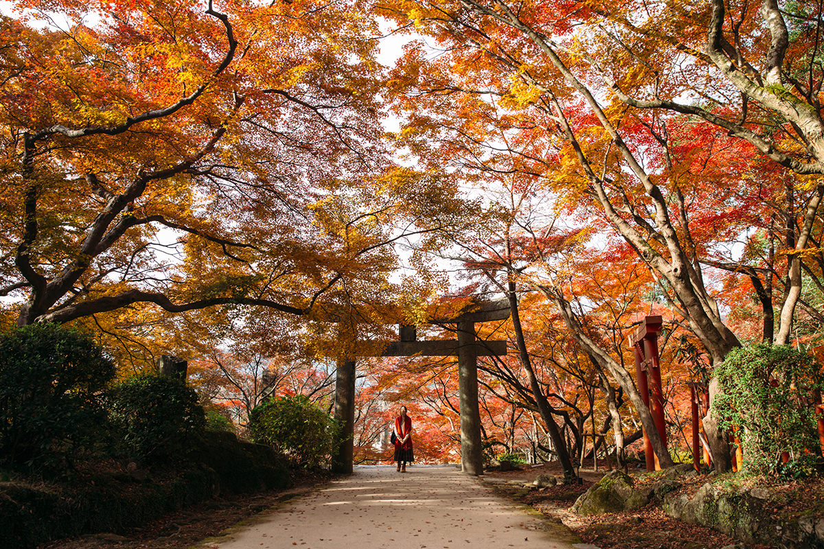 竈門神社