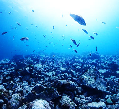 札幌Diving Service