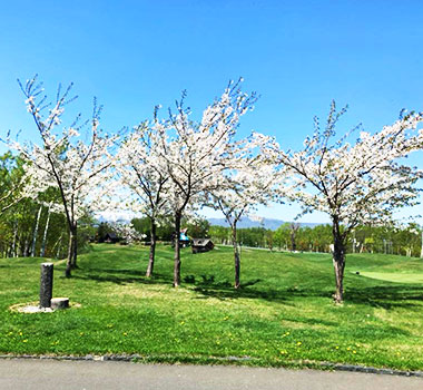 A-Brand古城高爾夫球場