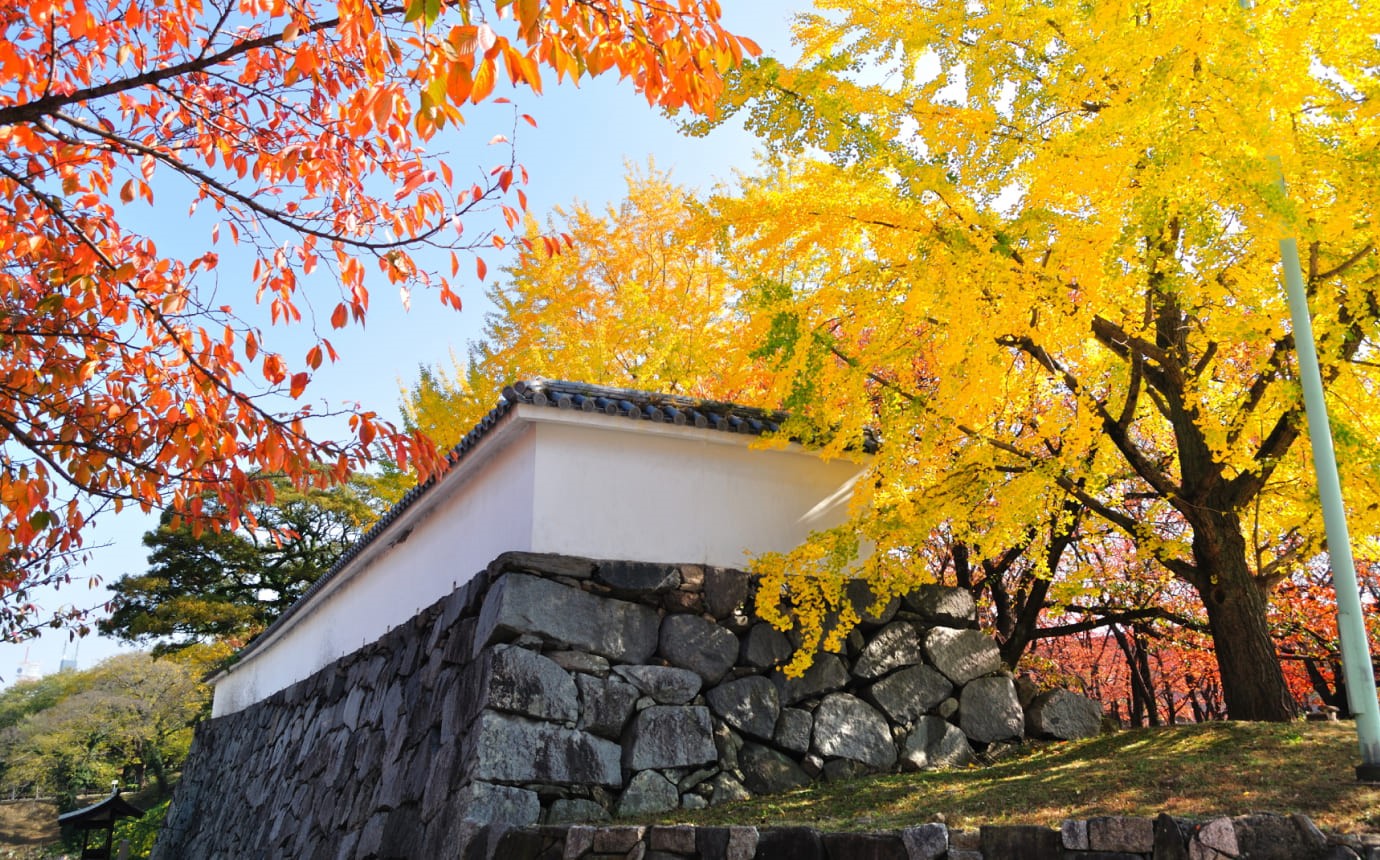 福岡城跡