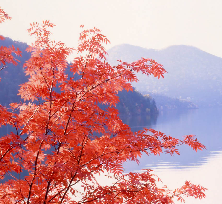 然別湖湖中鐵軌