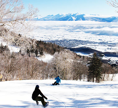 富良野滑雪場