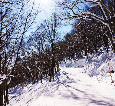 藻岩山滑雪場