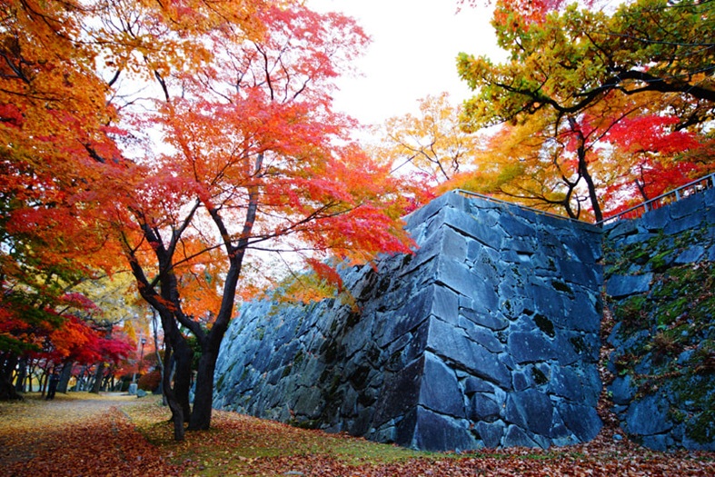 盛岡城跡公園