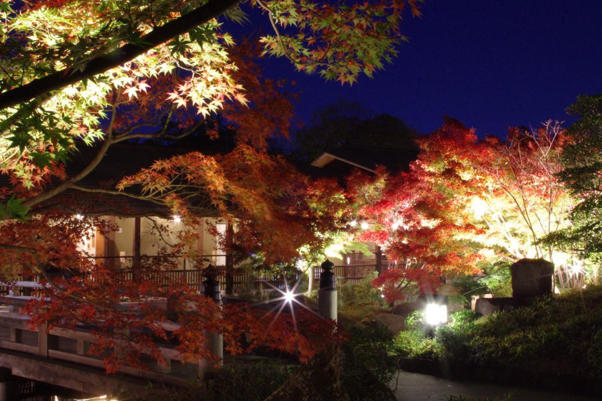 德川園