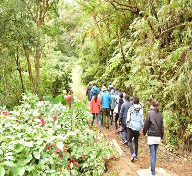 沖繩中山咖啡農場