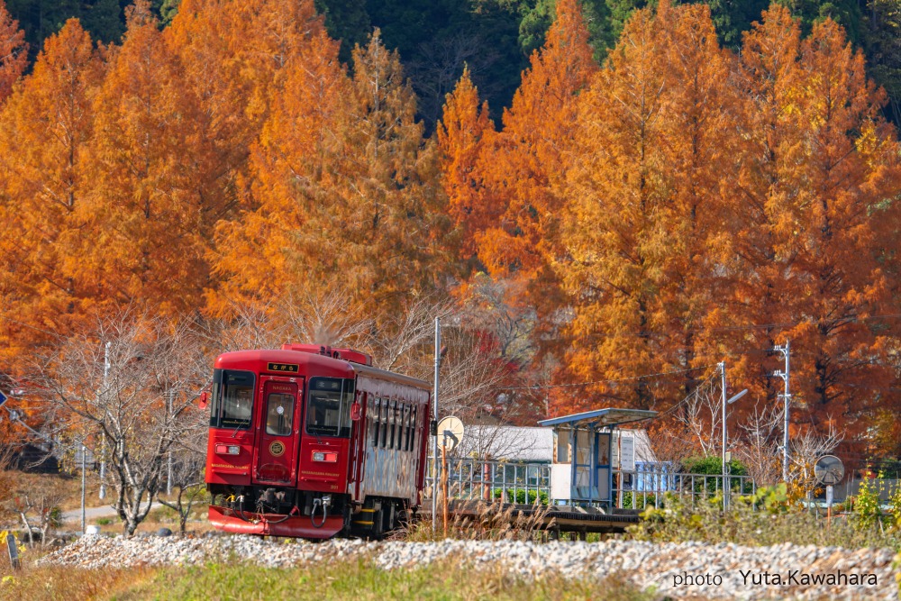 長良川花見鐵道