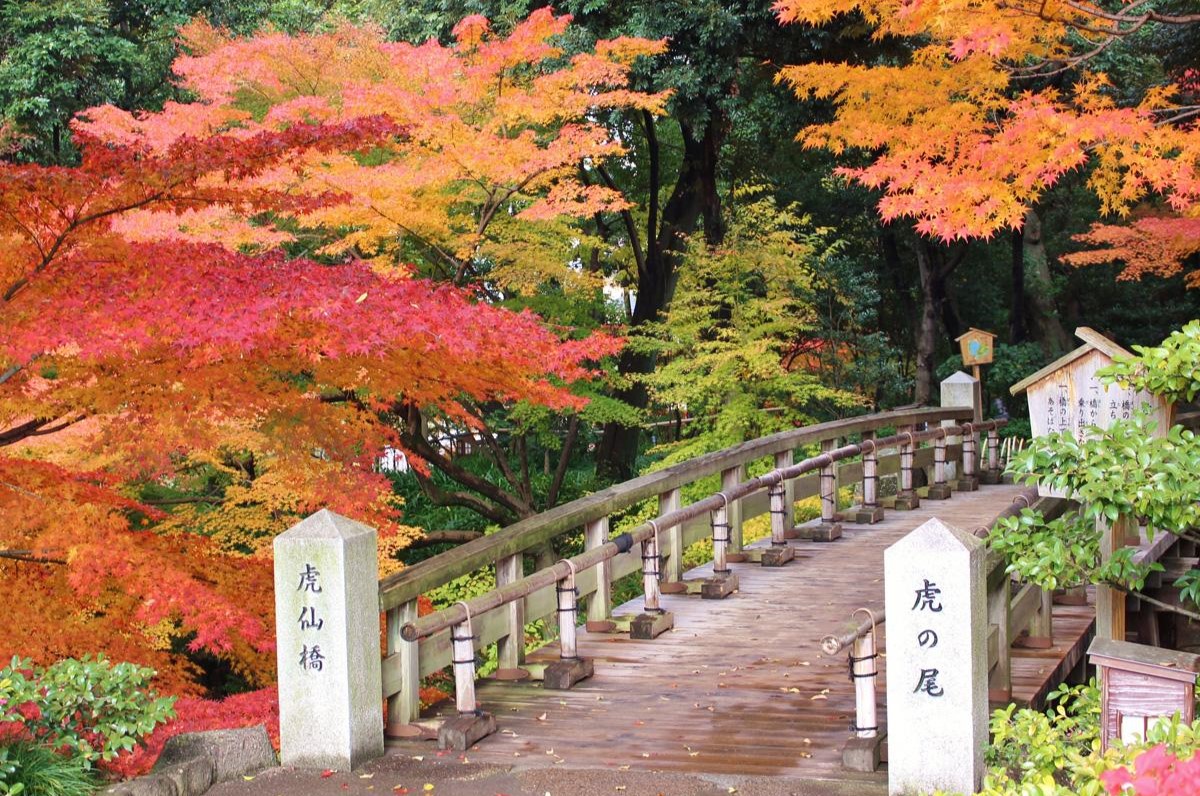 德川園
