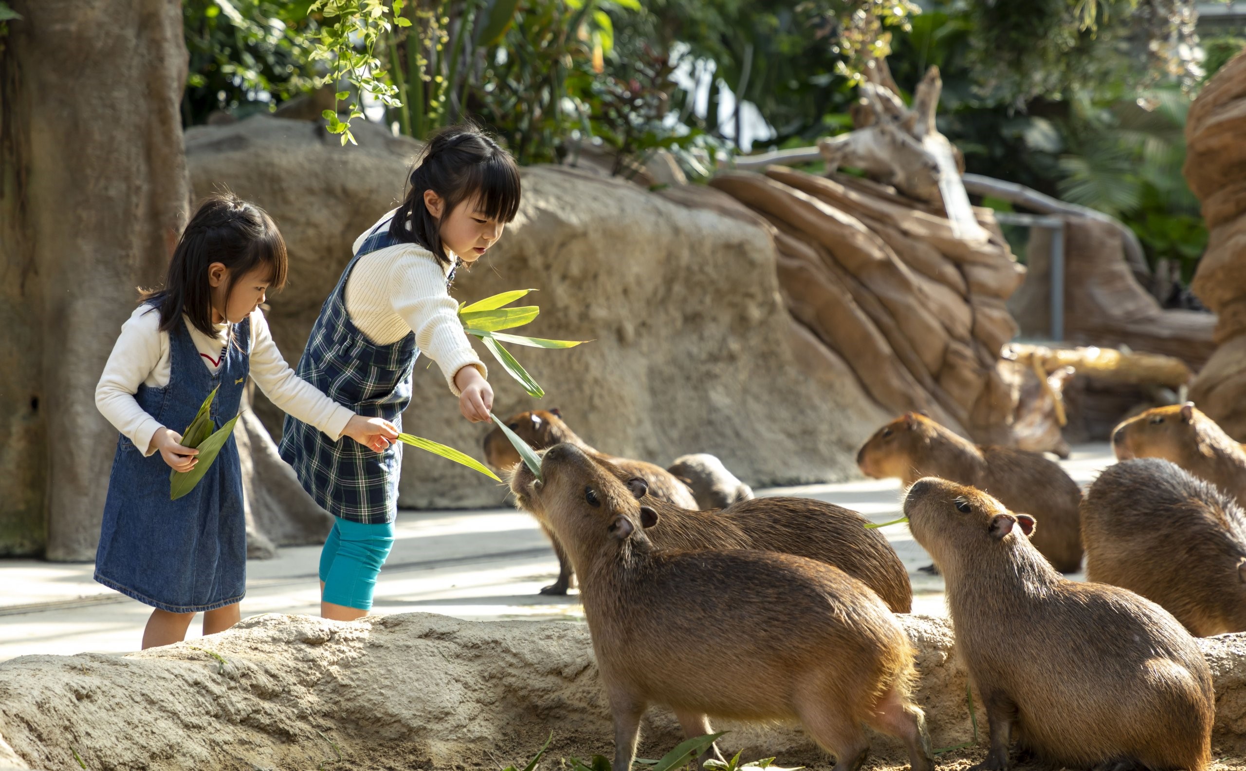 神戶動物王國