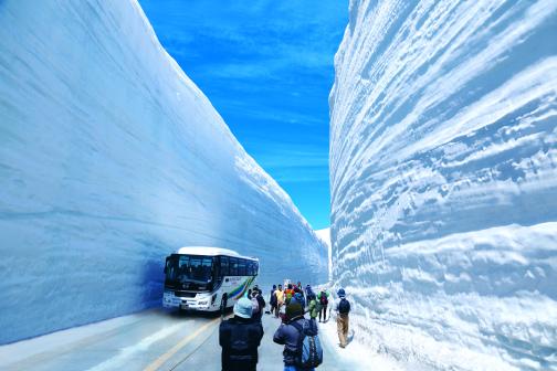 立山高原巴士-雪之大谷