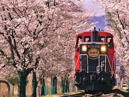 嵯峨野小火車
