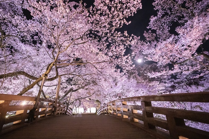 高遠城址公園