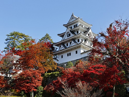 郡上八幡城