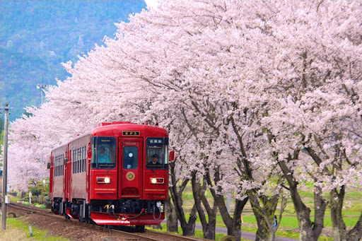 長良川花見鐵道