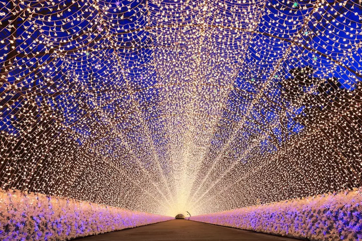 名花之里彩燈祭