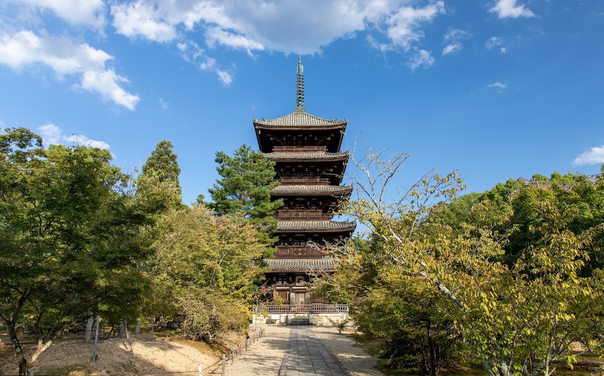 仁和寺--御室櫻