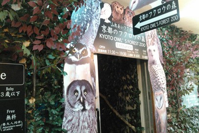 京都貓頭鷹之森