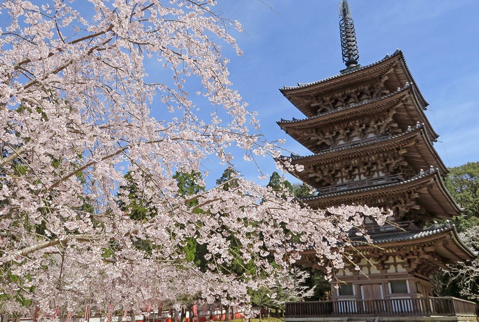 醍醐寺