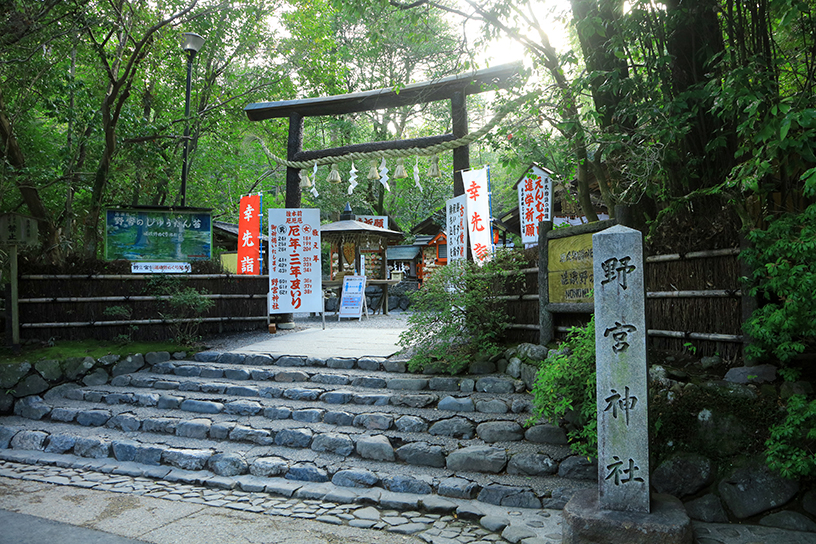 嵐山竹林~野宮神社