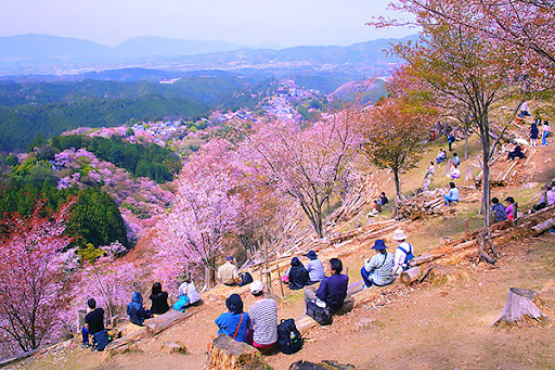 吉野山