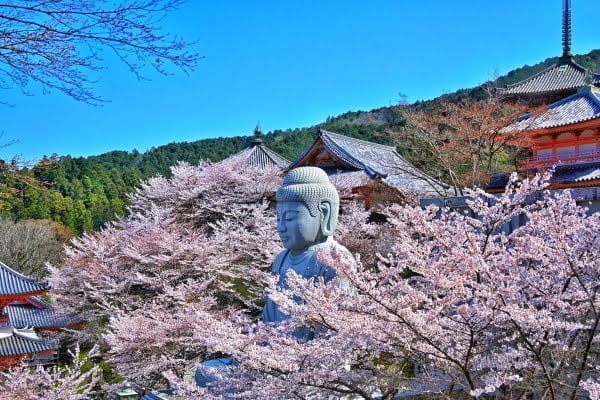 壺阪寺