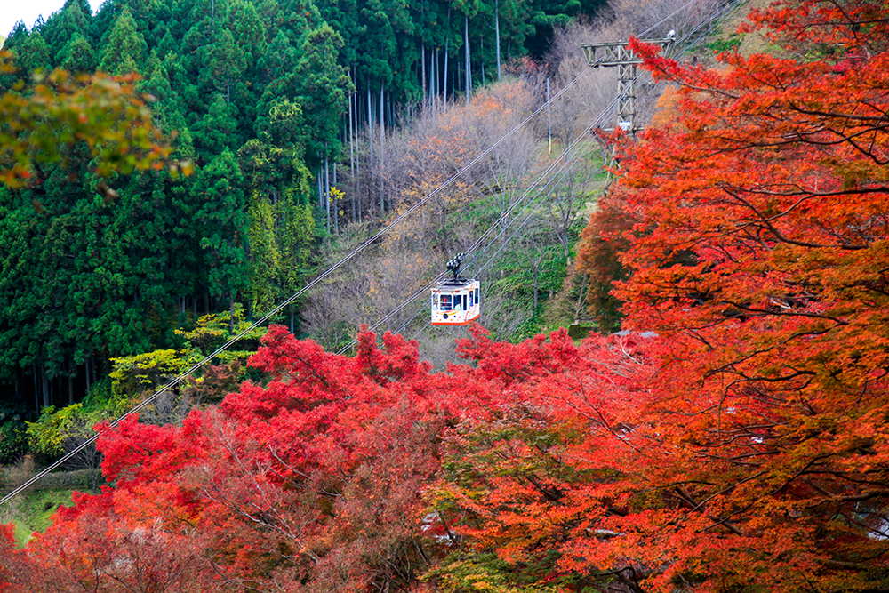 吉野山