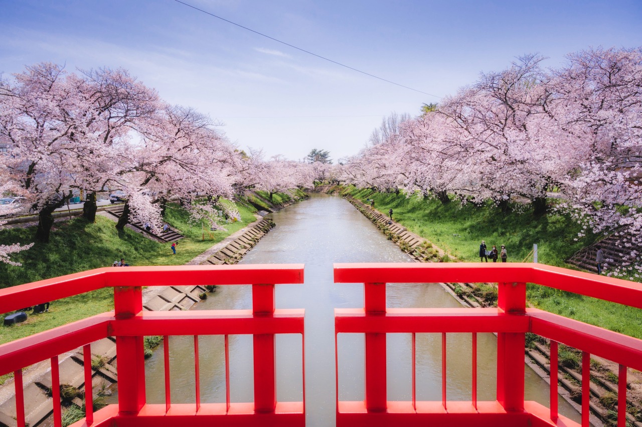 新境川堤