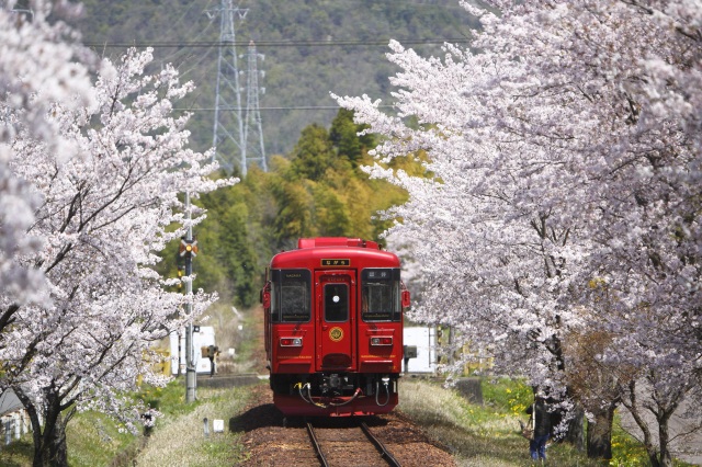 長良川花見鐵道