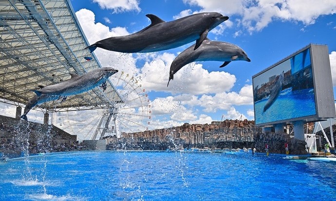 名古屋港水族館