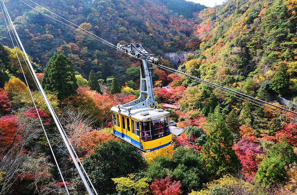 六甲有馬空中纜車