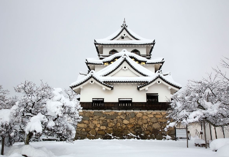 彥根城