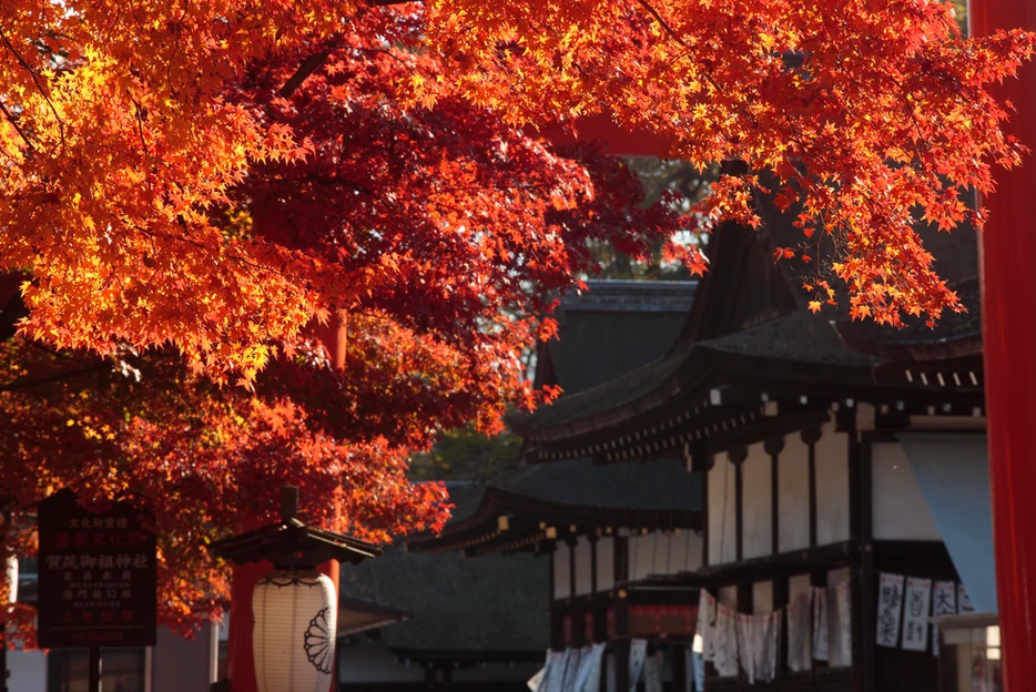 下鴨神社