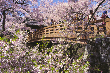 高遠城址公園