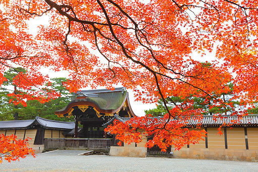 京都御苑
