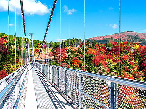 九重夢大吊橋
