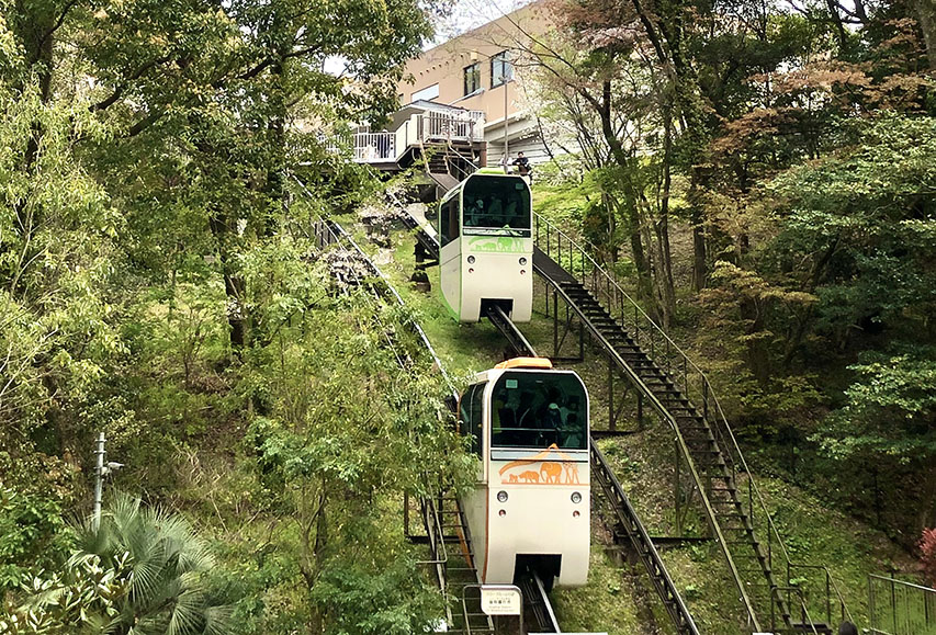 福岡市動植物園