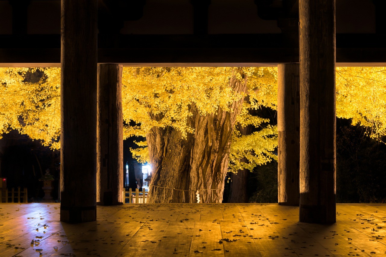 新宮熊野神社