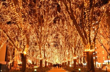 定禪寺通櫸樹林蔭道