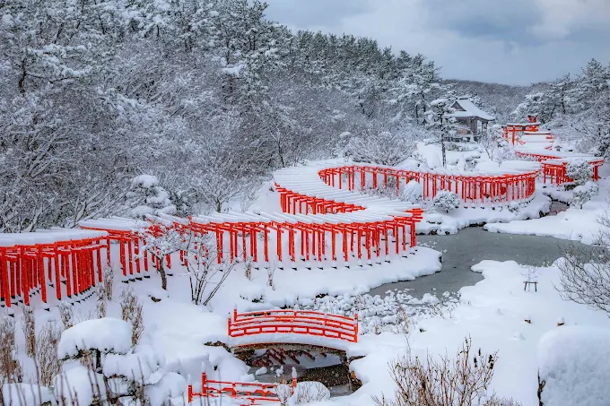 千本鳥居~高山稻荷神社