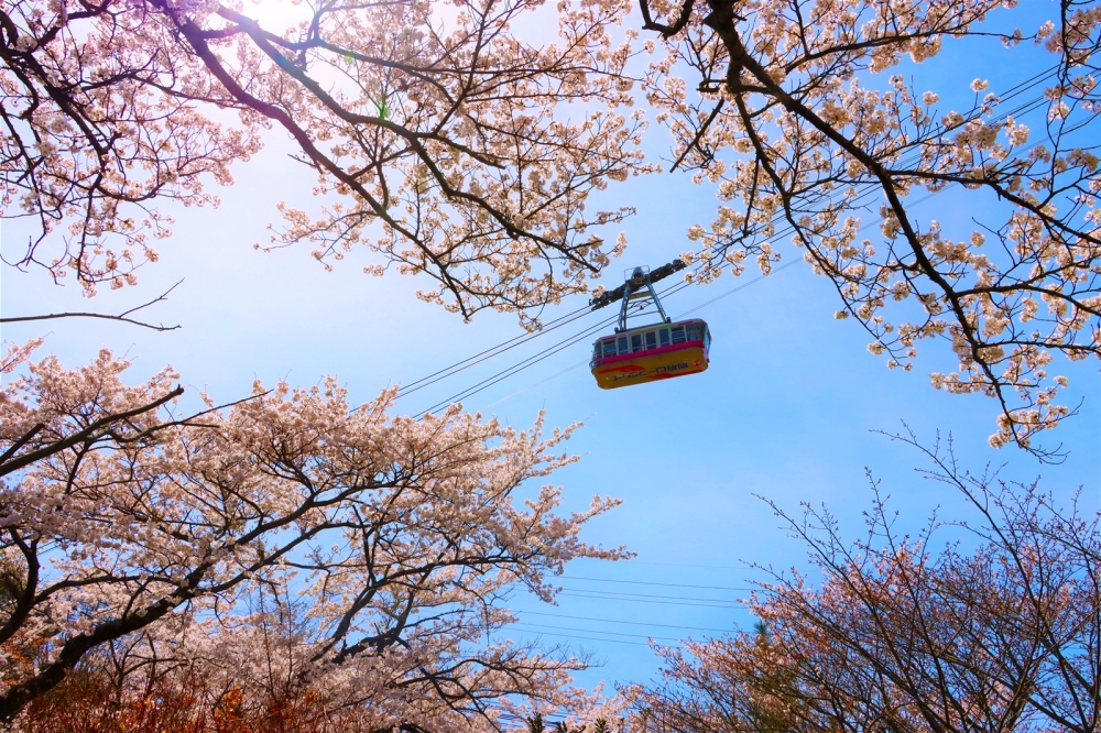 別府鶴見岳空中纜車