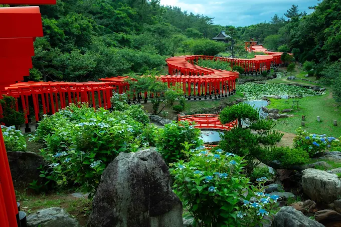 千本鳥居~高山稻荷神社