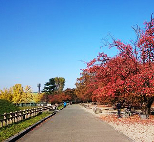 山形霞城公園