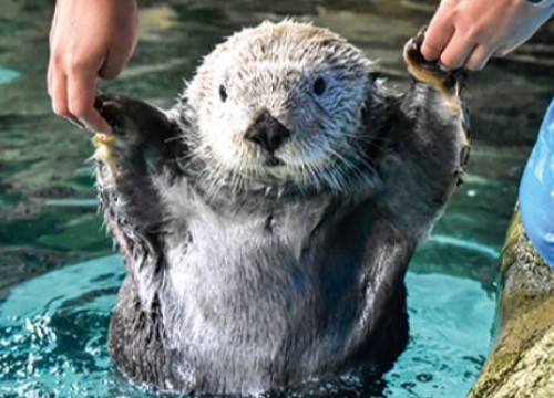 海之中道水族館